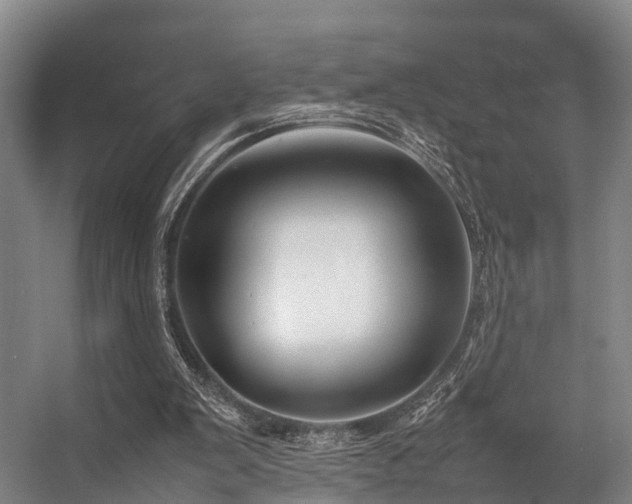 X0000057060103200509120858