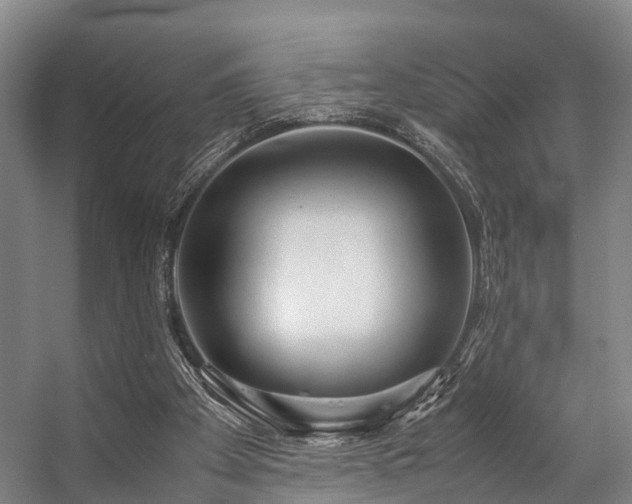 X0000057060105200509120858