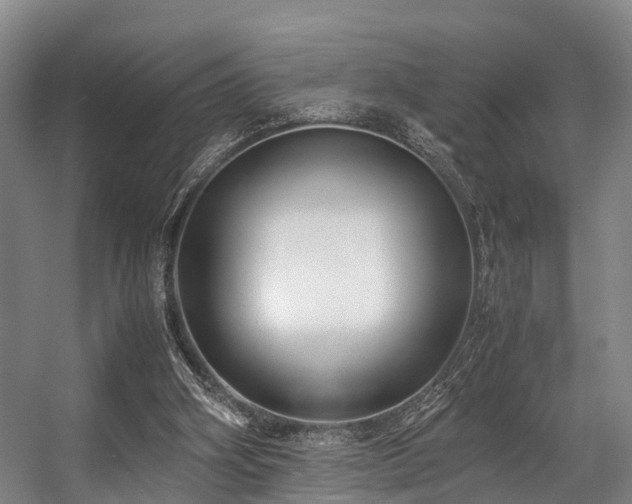 X0000057060106200509120858