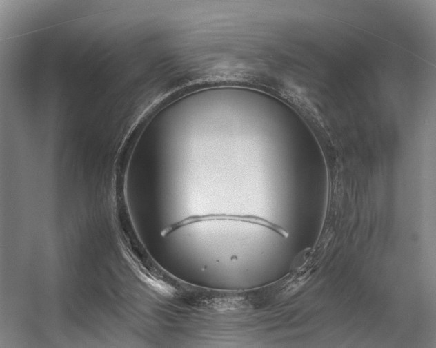 X0000057060108200509120858