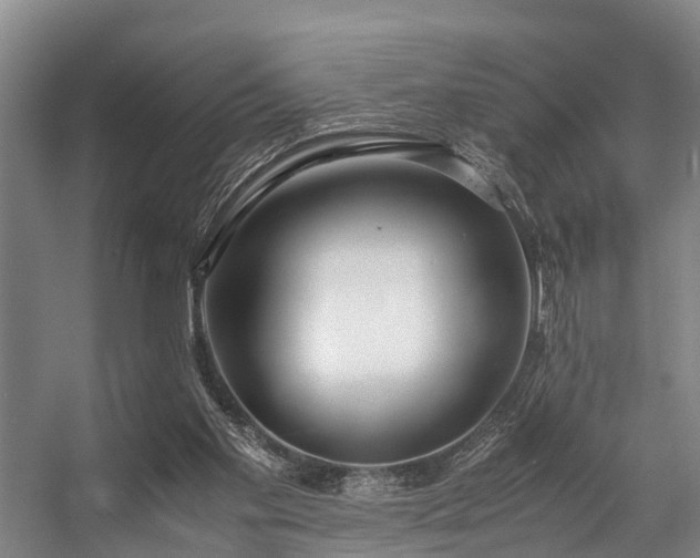 X0000057060109200509120858