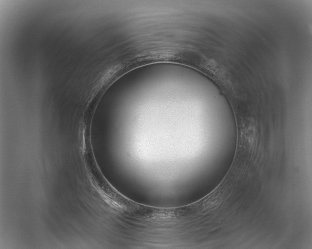 X0000057060110200509120858