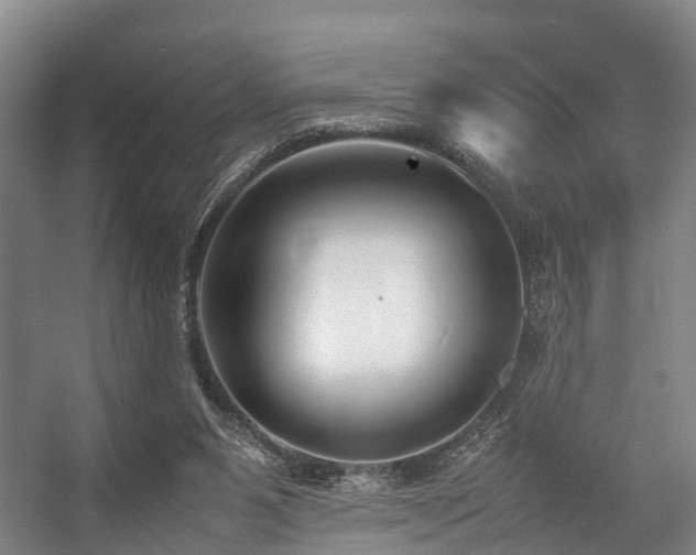 X0000057060111200509120858