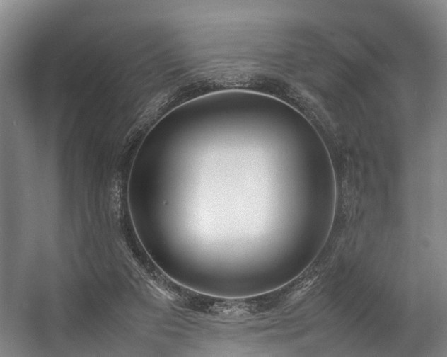 X0000057060113200509120858