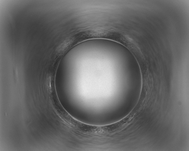 X0000057060115200509120858