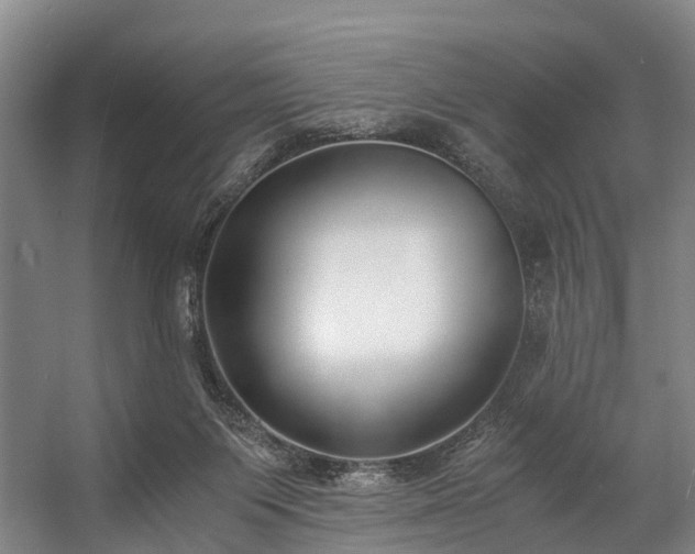 X0000057060119200509120858