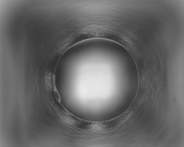 X0000057060121200509120858