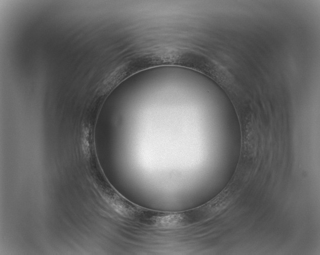 X0000057060122200509120858