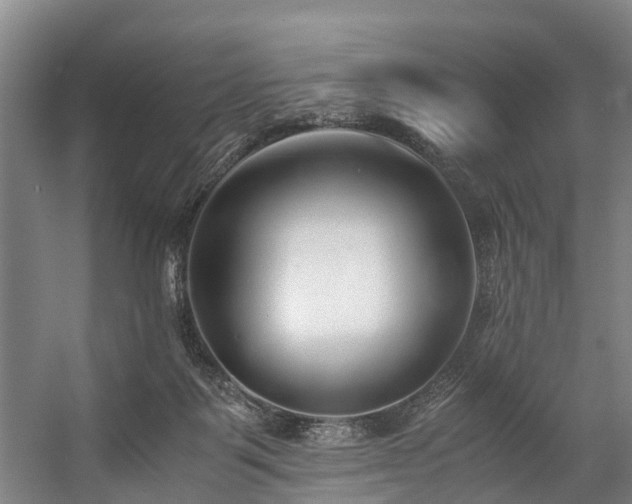 X0000057060123200509120858