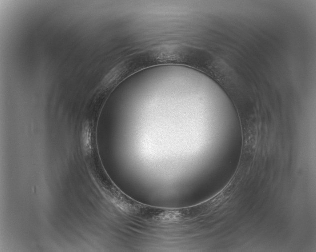 X0000057060124200509120858