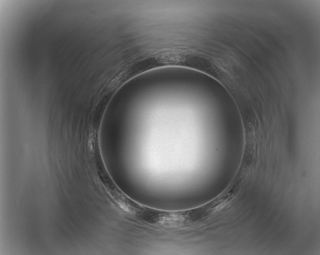 X0000057060125200509120858