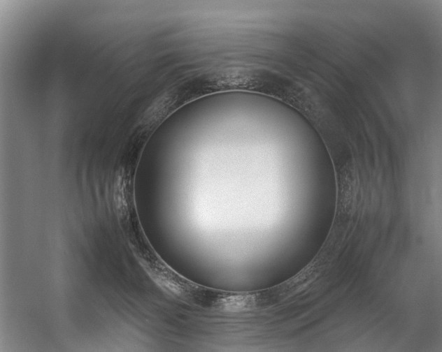 X0000057060126200509120858