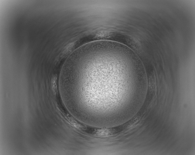 X0000057060127200509120858