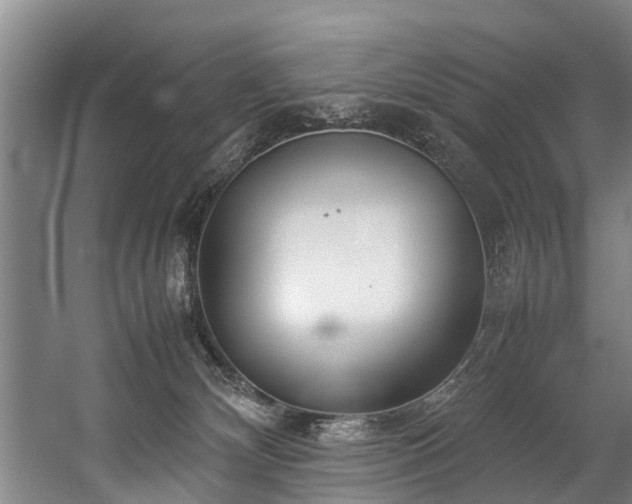 X0000057060132200509120858