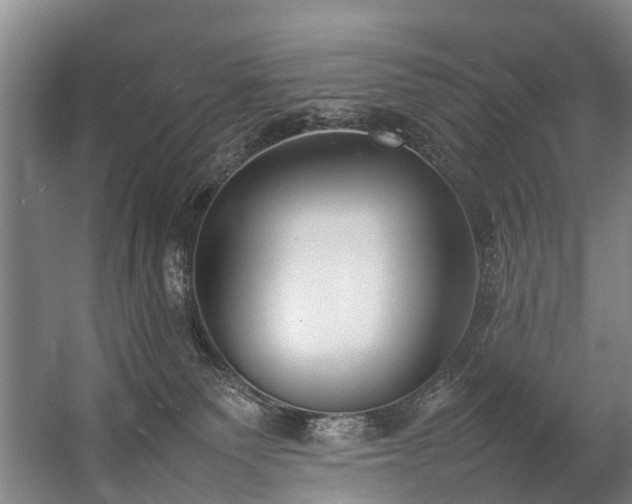 X0000057060135200509120858