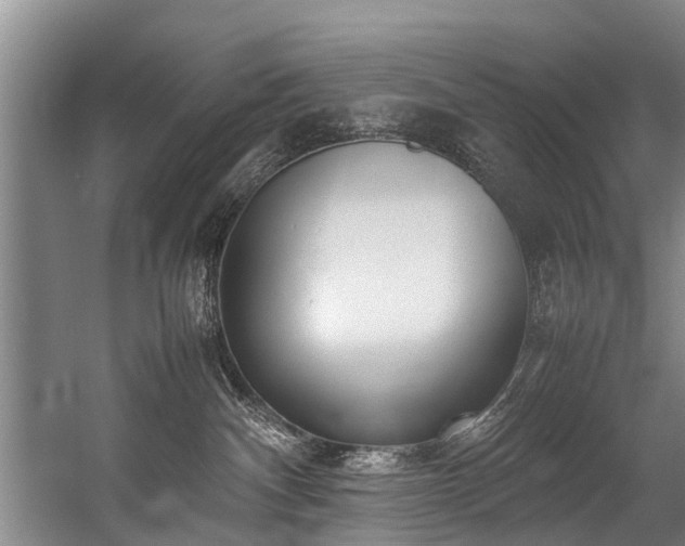 X0000057060140200509120858