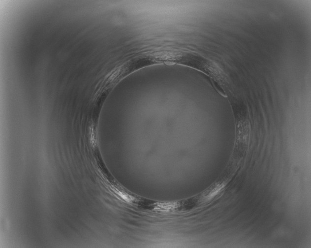 X0000057060143200509120858