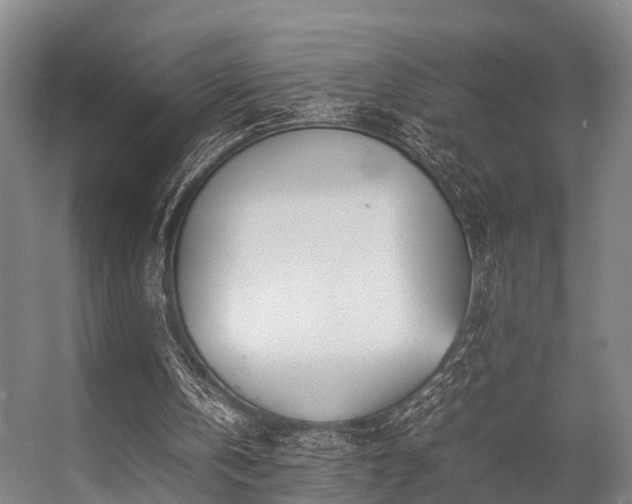 X0000057060146200509120857