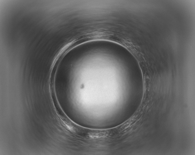 X0000057060147200509120857