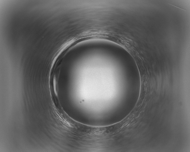 X0000057060148200509120857