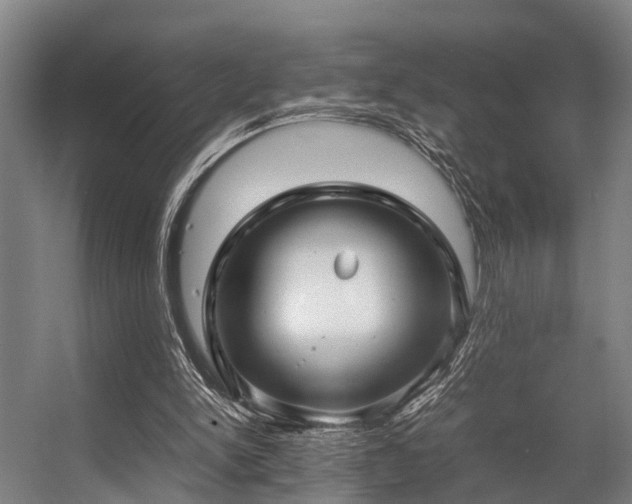 X0000057060150200509120857