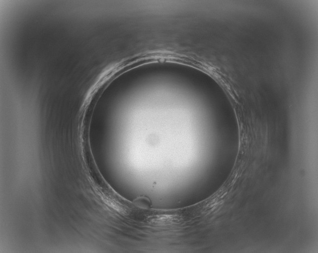 X0000057060151200509120857