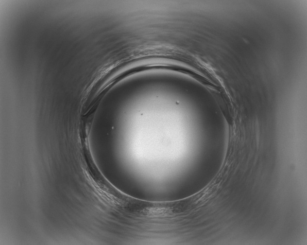 X0000057060154200509120857