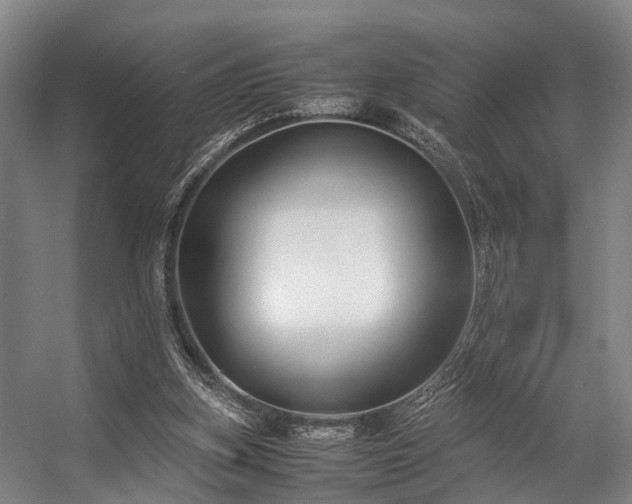 X0000057060155200509120857