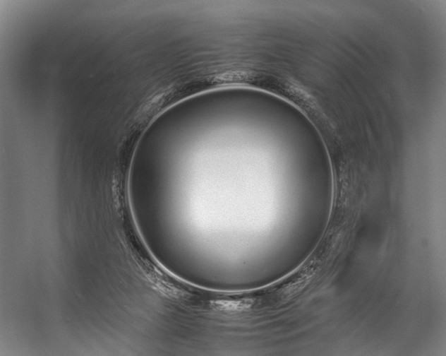 X0000057060161200509120857