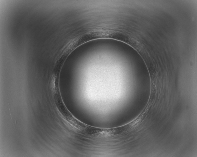 X0000057060166200509120857