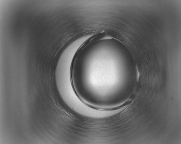 X0000057060172200509120857