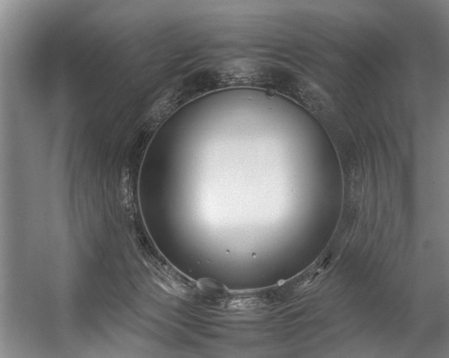 X0000057060173200509120857