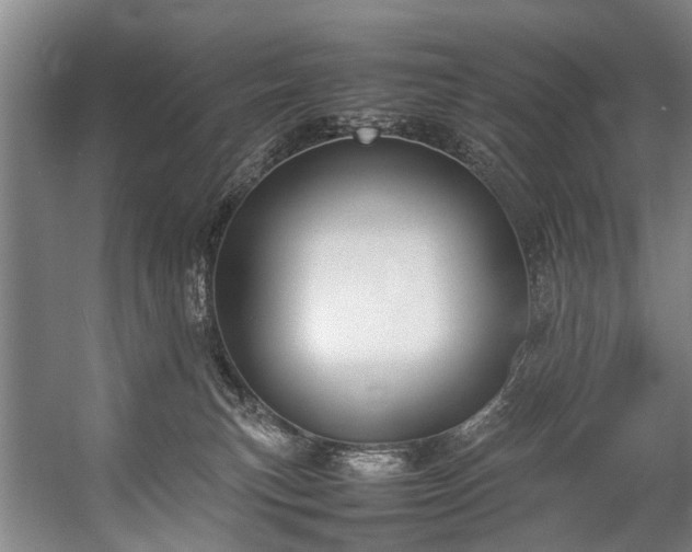 X0000057060183200509120858