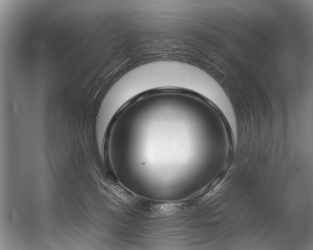 X0000057060184200509120858