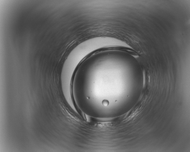 X0000057060188200509120858