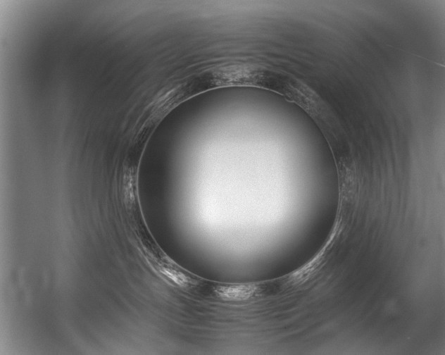 X0000057060191200509120858