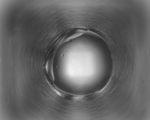 X0000057060192200509120858