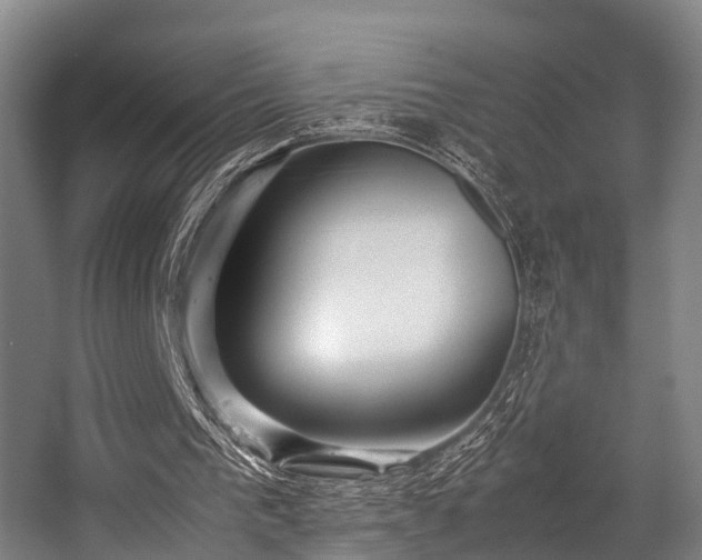 X0000057060193200509120857