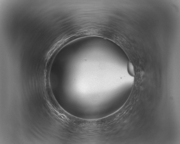 X0000057060194200509120857