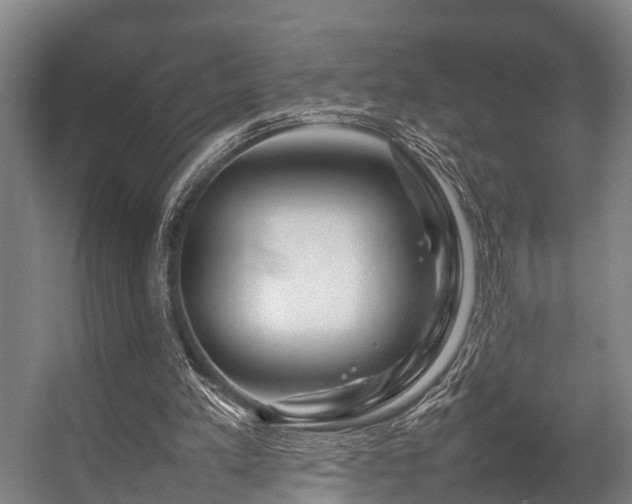 X0000057060197200509120857