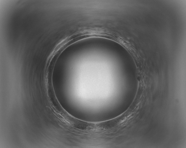 X0000057060199200509120857