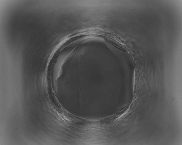 X0000057060200200509120857