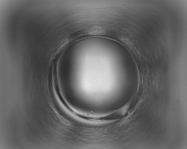 X0000057060201200509120857