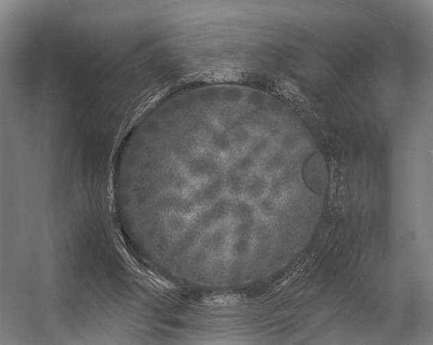 X0000057060202200509120857