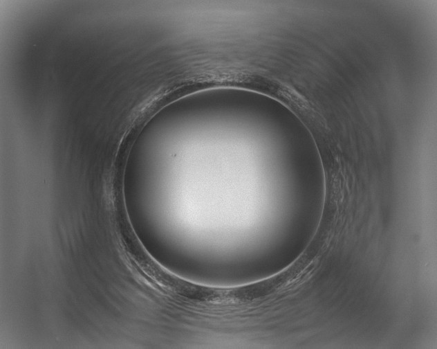 X0000057060203200509120857