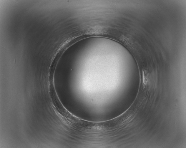 X0000057060204200509120857