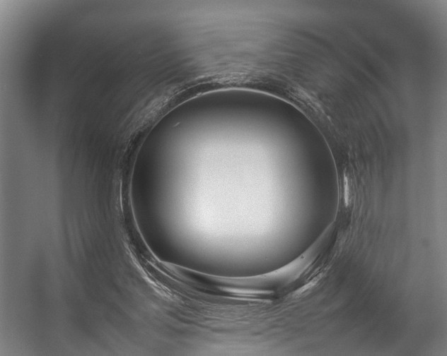 X0000057060205200509120857