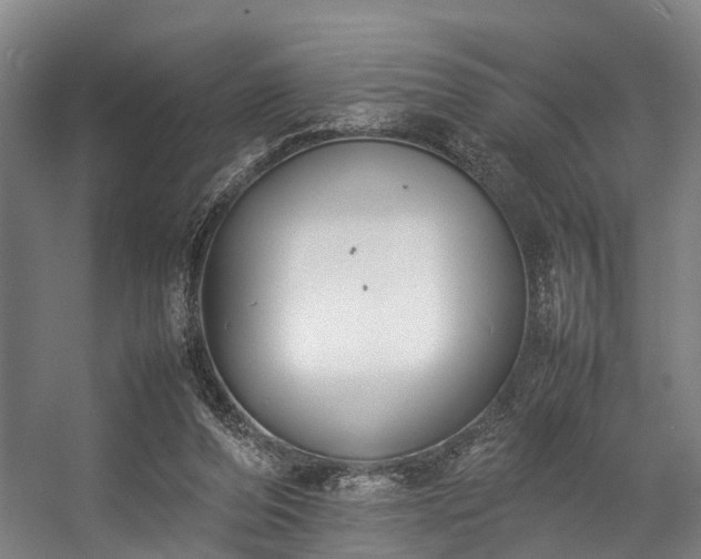 X0000057060208200509120857