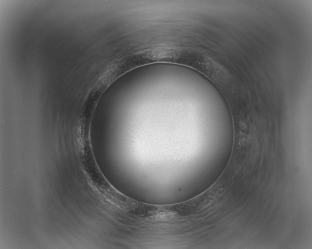 X0000057060210200509120857