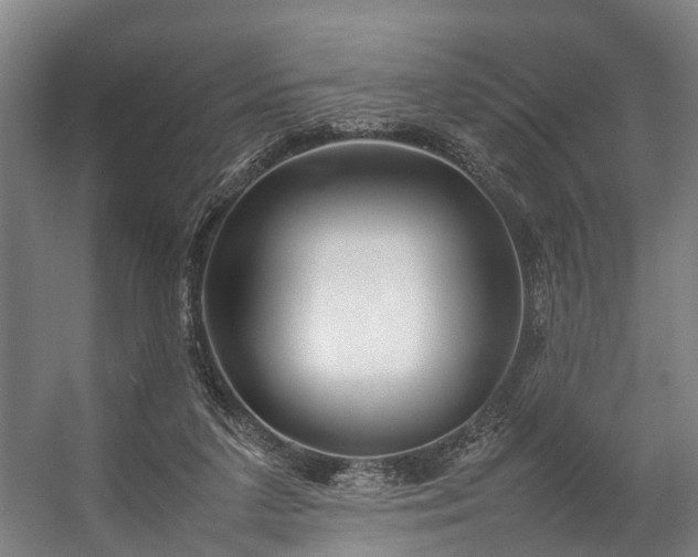 X0000057060211200509120857